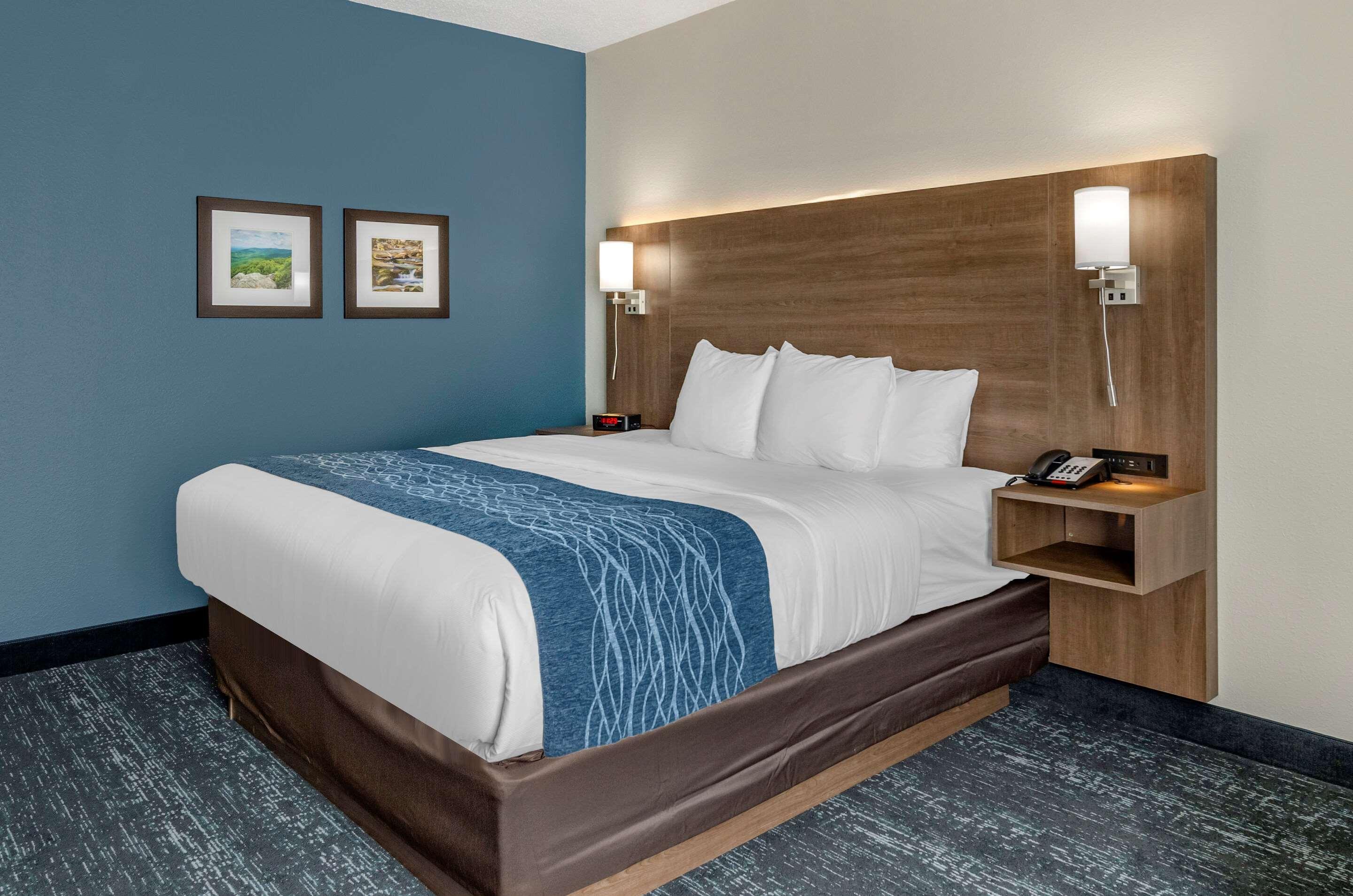 Comfort Inn & Suites Troutville - Roanoke North - Daleville מראה חיצוני תמונה