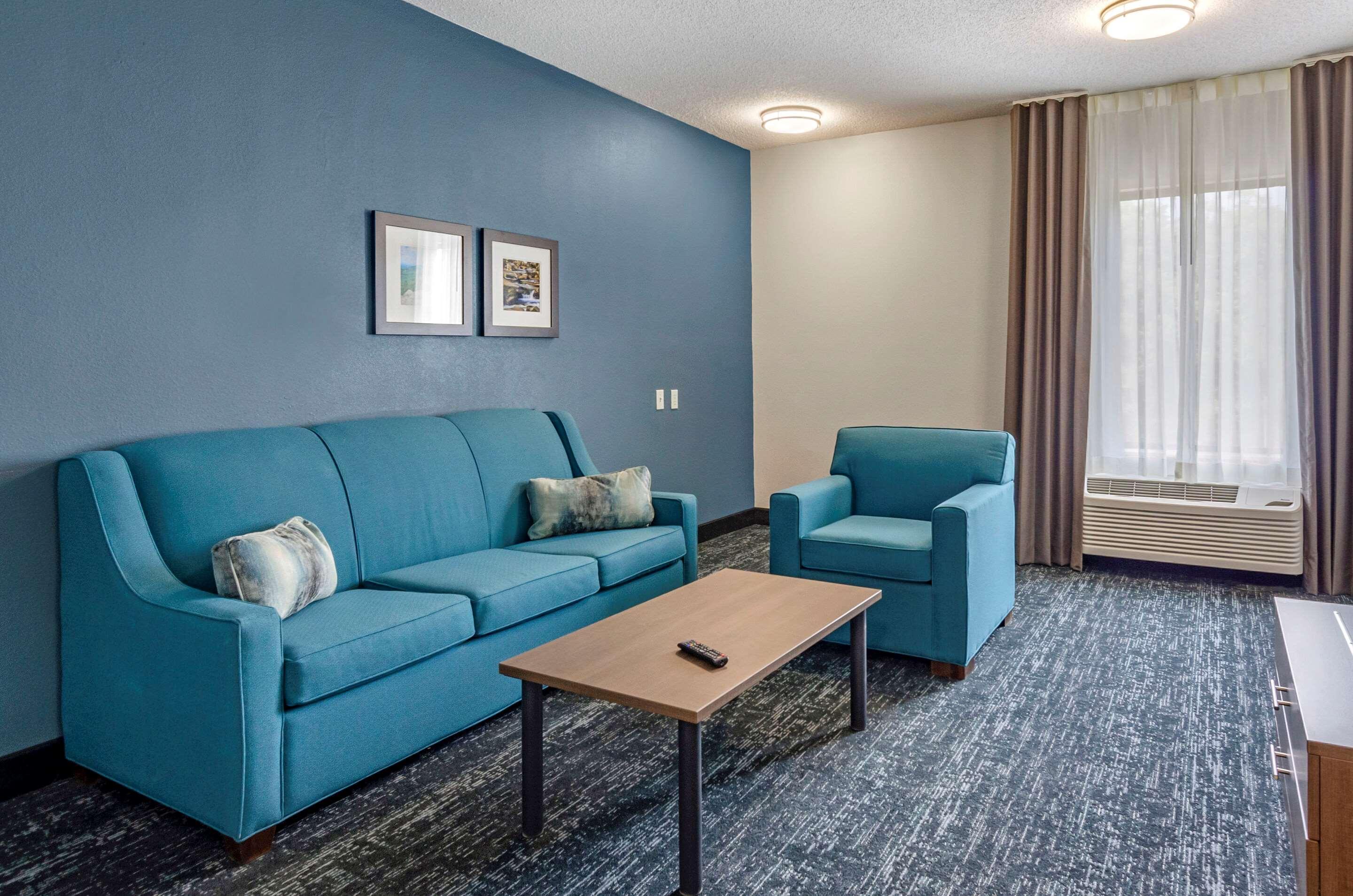 Comfort Inn & Suites Troutville - Roanoke North - Daleville מראה חיצוני תמונה